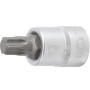 Imbusz Torx T80- 3/4" adapterrel