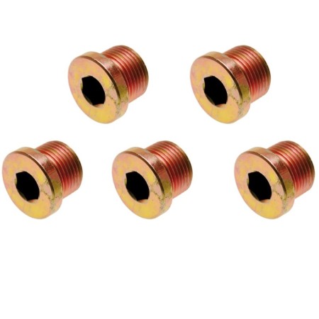 5 db-os dugós készlet az olajteknőhöz M17x1.50